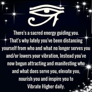 Meet your Posher, Devon